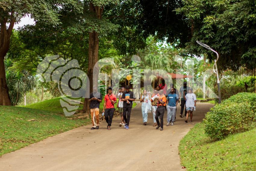 People walking in the Park