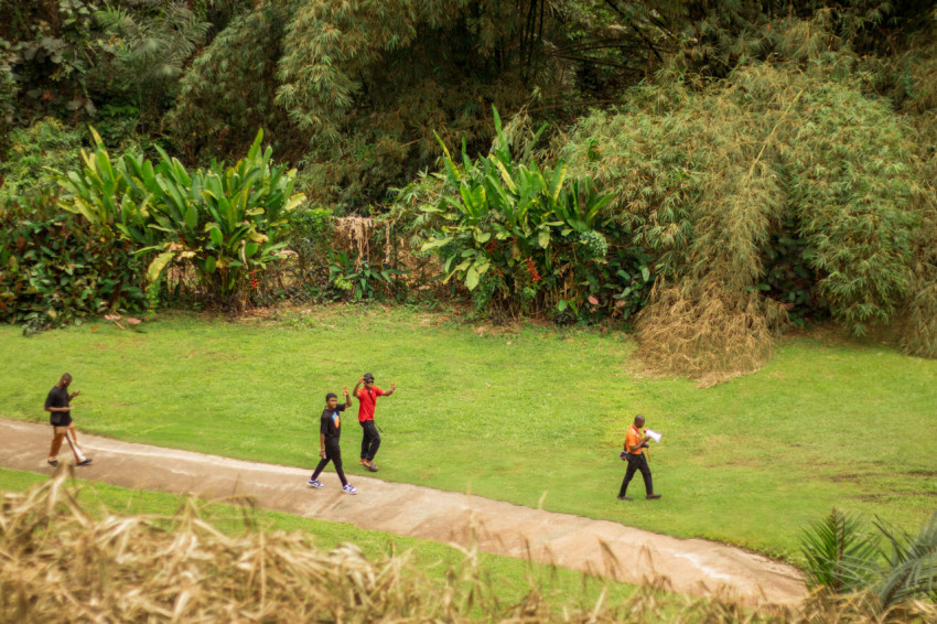 People walking along a pathway 2