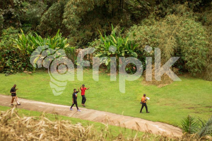 People walking along a pathway 2