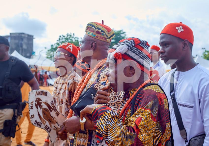 A traditional ruler with his entourage