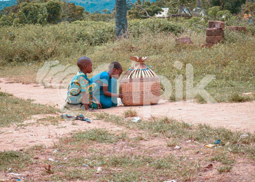 Kids playing with poultry basket
