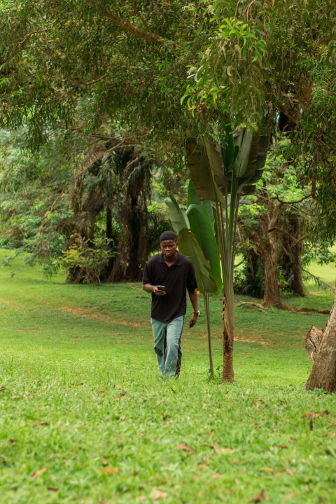 Boy walking in the woods