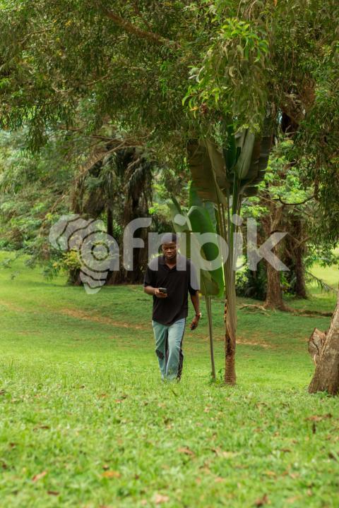 Boy walking in the woods